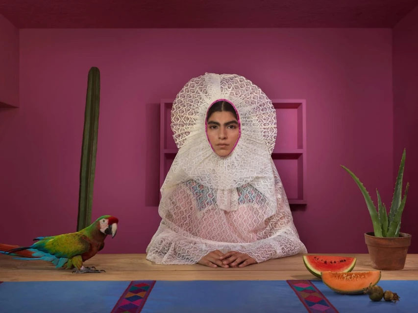 Portrait of a person wearing an elaborate white lace collar, with cactus, parrot, fruit, and a pink background. Fine art photography.