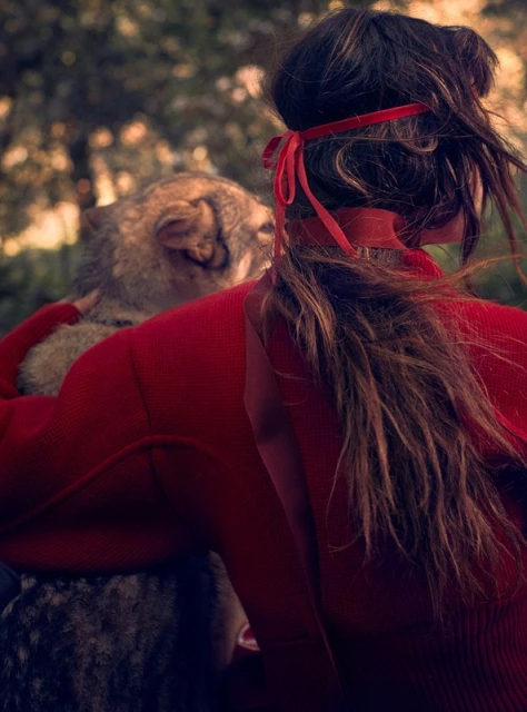 A woman in a red sweater is embracing a gray wolf. The woman has long brown hair and a red ribbon around her head, in a forest setting.