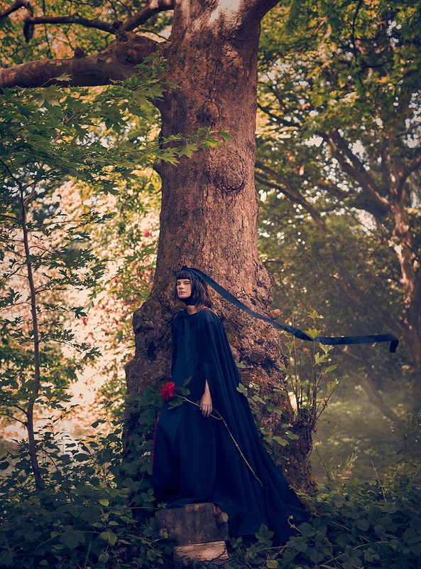 A woman in a dark gown stands near a large tree, holding a red rose, in a forest setting with diffused natural light.