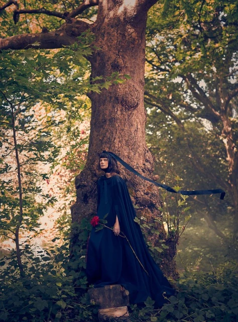 A woman in a dark gown stands near a large tree, holding a red rose, in a forest setting with diffused natural light.