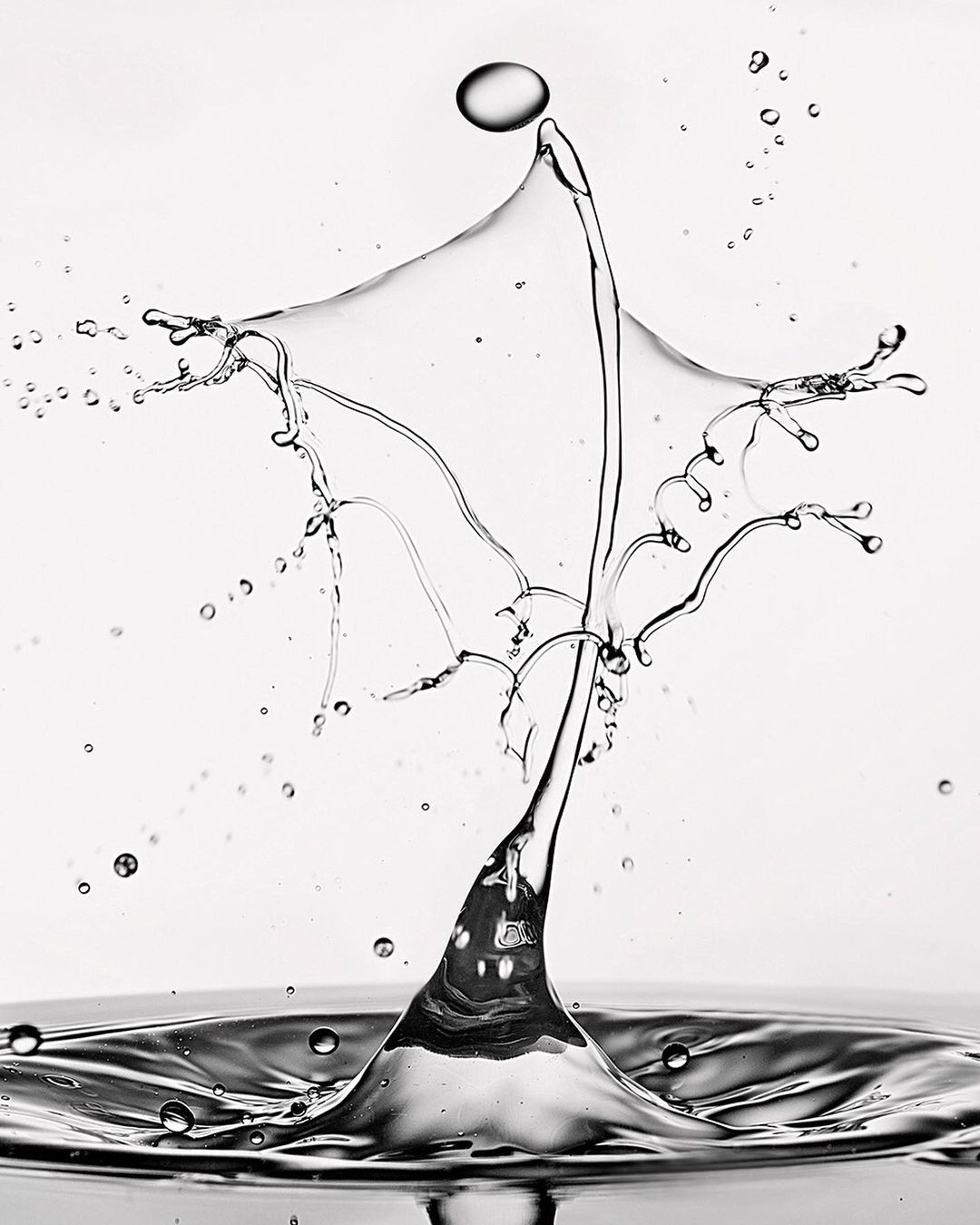 A water droplet collision captured in high-speed photography, showcasing dynamic splash forms with a grey, black, and white palette.