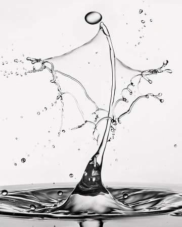 A water droplet collision captured in high-speed photography, showcasing dynamic splash forms with a grey, black, and white palette.