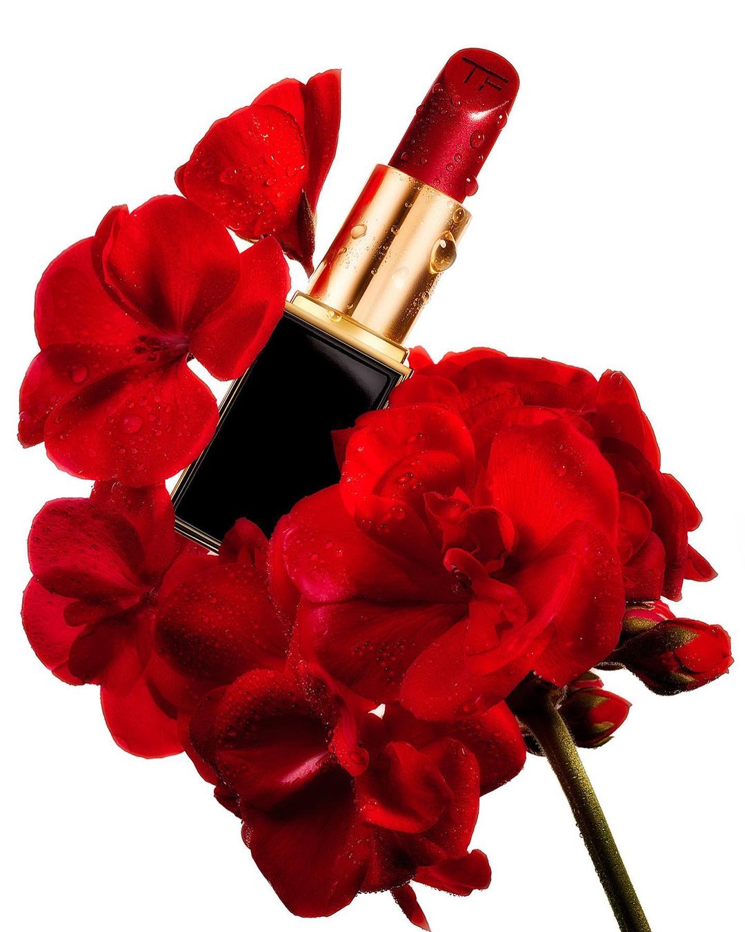 Close-up of red lipstick in a gold and black tube surrounded by bright red flower blossoms against a stark white background.