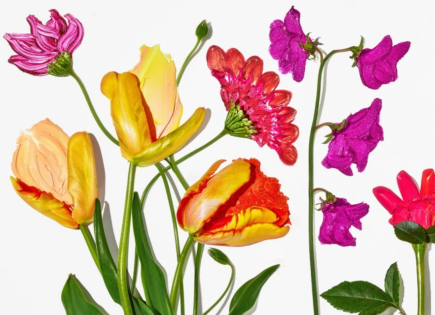 Botanical art featuring a colorful collection of flowers including tulips, daisies, and sweet peas set against a bright white background.