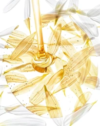 Golden serum droplet falling onto daisy petals through a magnifying circular lens on white