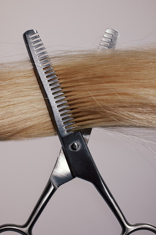 Close-up of a pair of thinning shears cutting through a section of straight, light blonde hair against a neutral grey background.