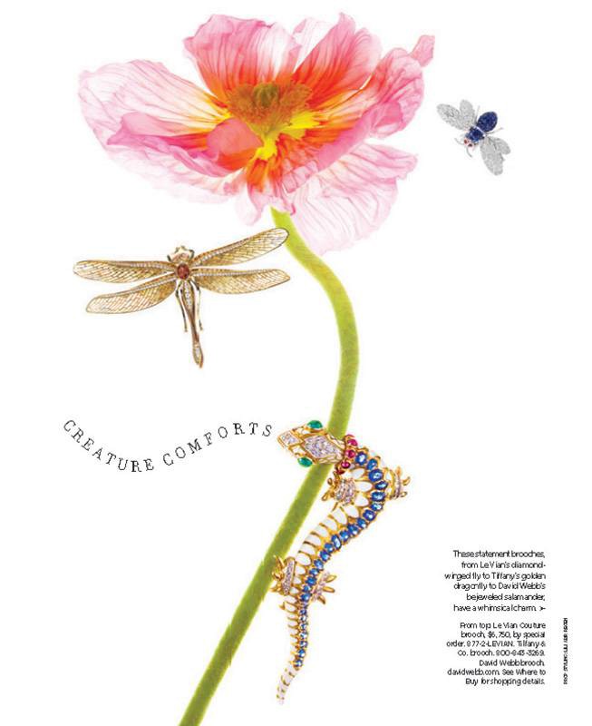 Floral still life with a pink poppy, dragonfly, bee, and salamander brooches.  Jewelry advertisement with flower and insect jewelry.