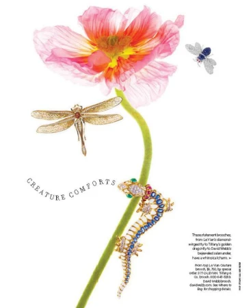Delicate pink poppy flower with a green stem accompanied by jeweled insect brooches on a white background