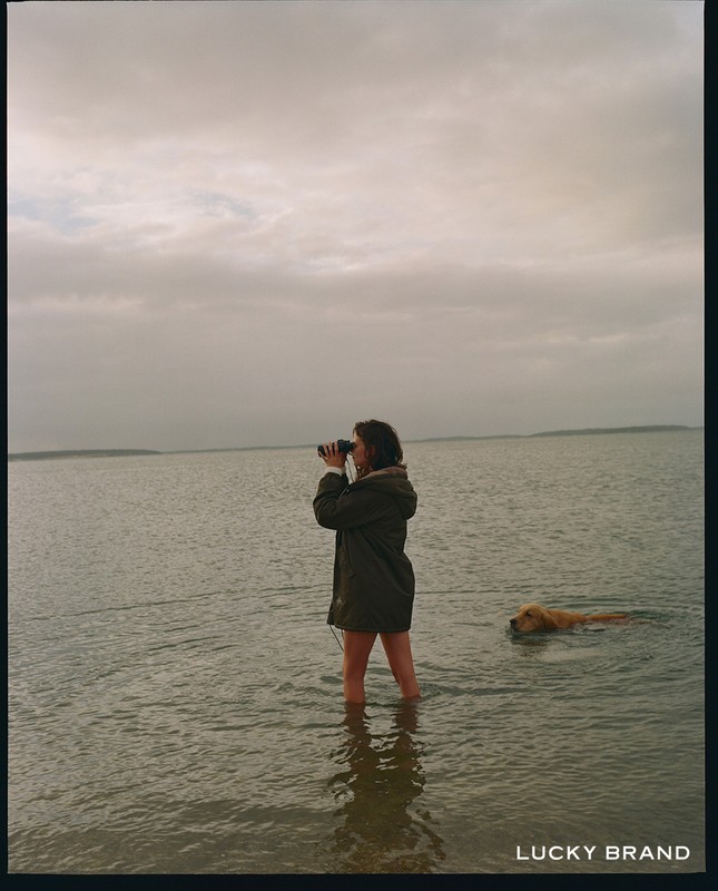 A person stands knee-deep in water at a beach looking through binoculars with a dog swimming nearby, taken on an overcast day.