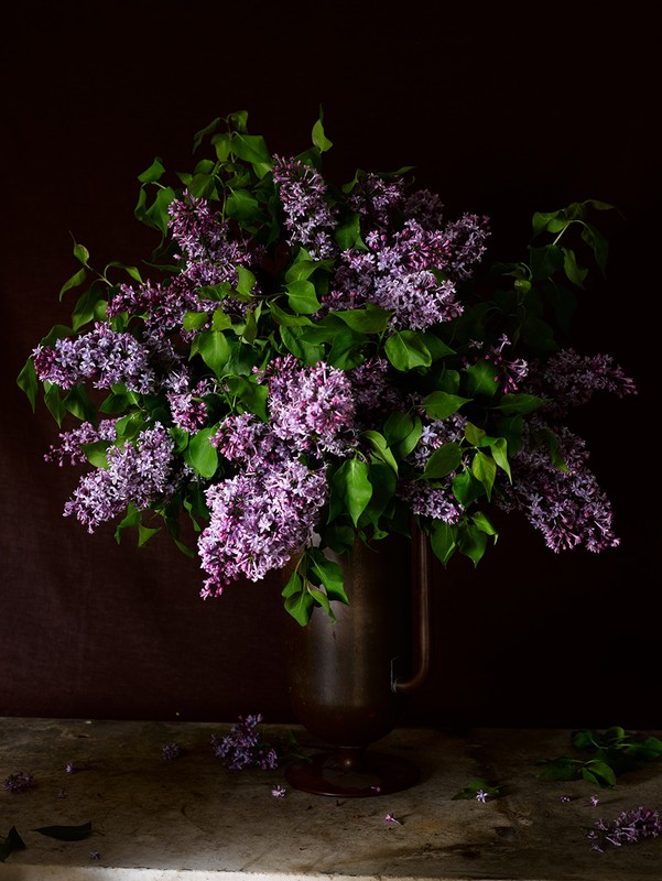 Vase with purple lilacs and green leaves on a marble surface against a dark brown backdrop, creating a moody floral still life.