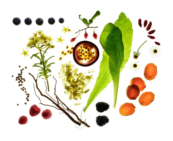 Botanical flat lay with a variety of colorful, fresh ingredients, including berries, greens, turmeric slices, and a passionfruit slice, isolated on white.