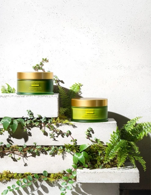 Two green and gold skincare containers displayed on concrete steps amidst lush ferns and green vines, creating a natural beauty aesthetic.