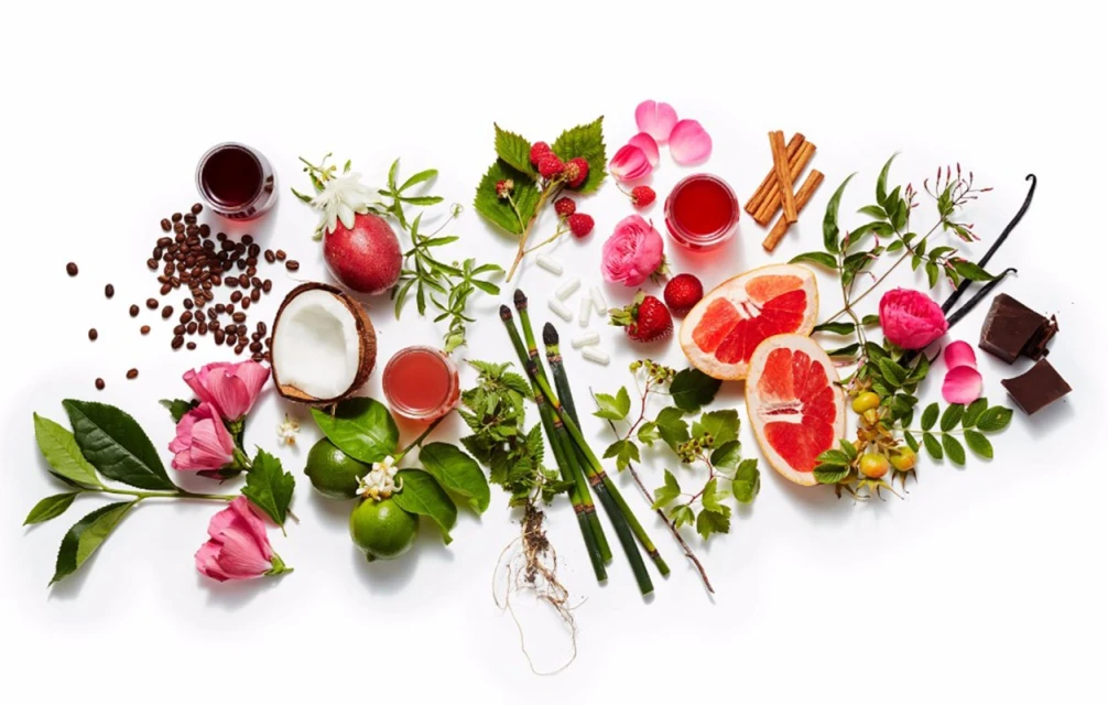 Still life featuring colorful array of fruits, flowers, herbs, spices, and liquids on a white backdrop, creating a vibrant mix.