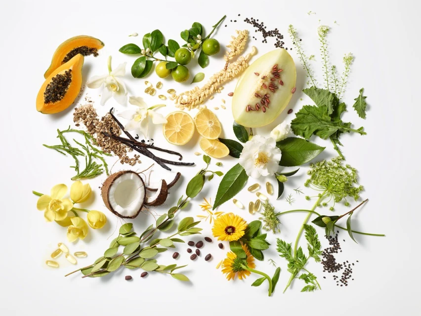 Overhead flat lay of papaya, melon, citrus, coconut, flowers, and botanicals arranged on a clean white surface in a studio setting.
