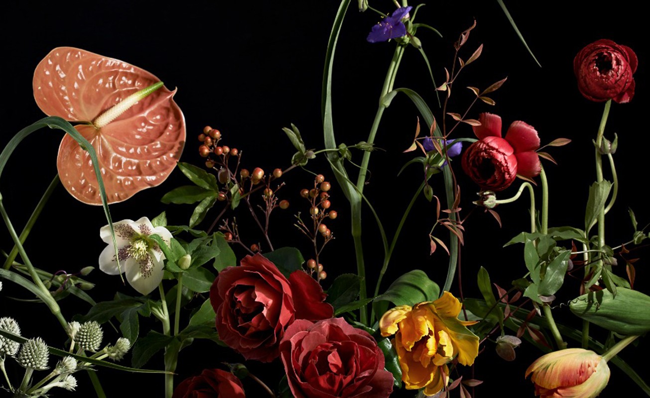 Floral still life featuring roses, tulips, hellebores, and anthurium against a black background with soft lighting.