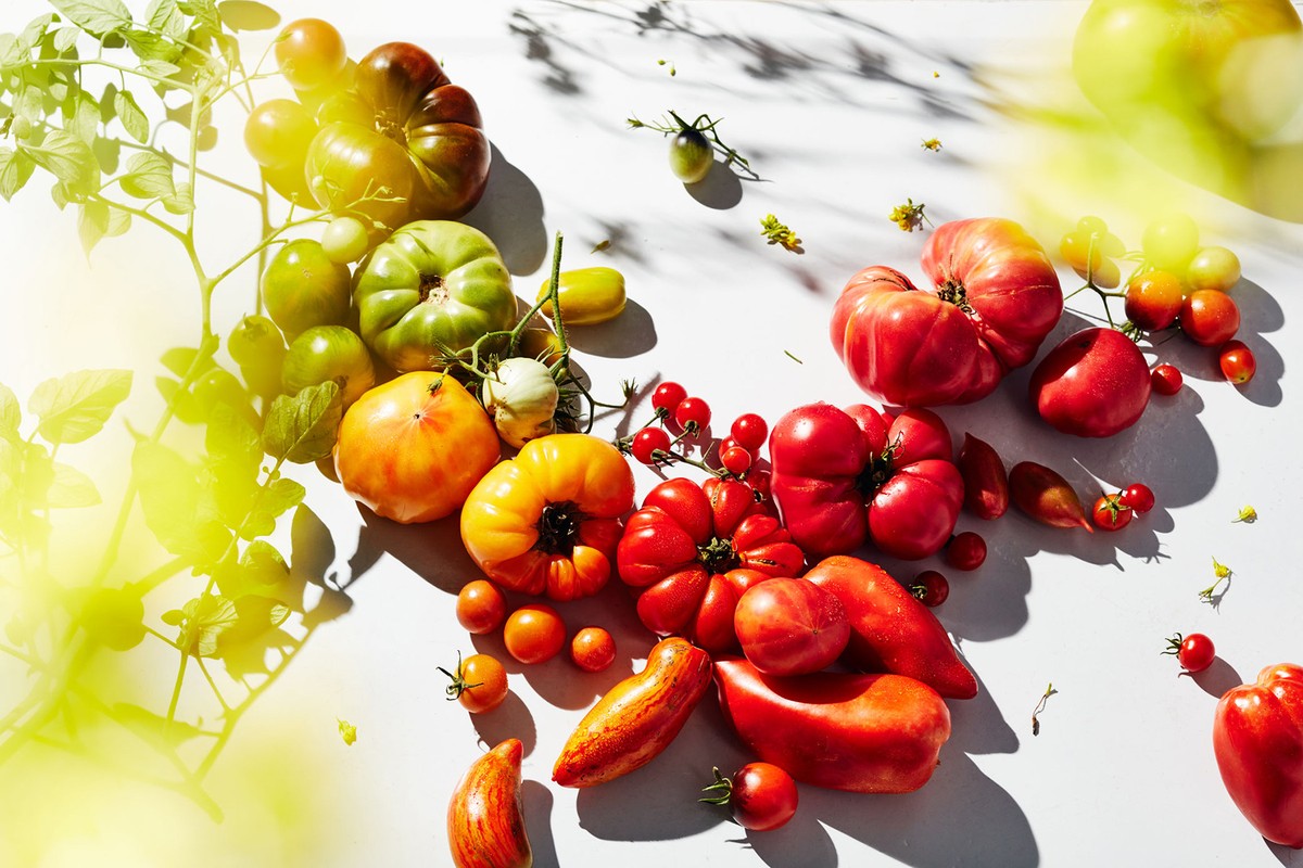 Assortment of colorful heirloom tomatoes, cherry tomatoes, and vine tomatoes in red, green, yellow, and orange hues on a white surface.