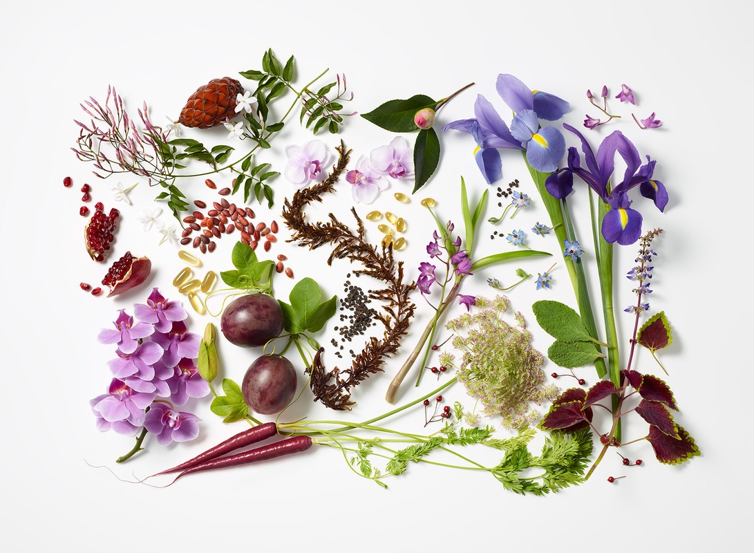 Overhead shot of a vibrant arrangement of fresh produce, including purple carrots, plums, pomegranate seeds, and a variety of flowers.