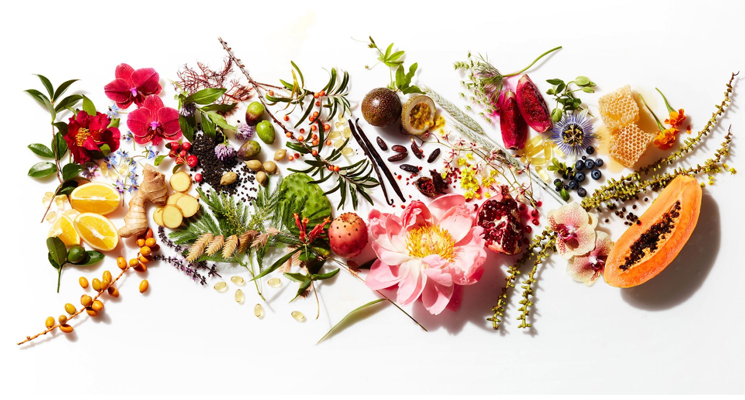 Overhead shot of colorful assortment of fresh fruits, flowers, seeds, and honeycomb on a white surface. Food and beverage concept.