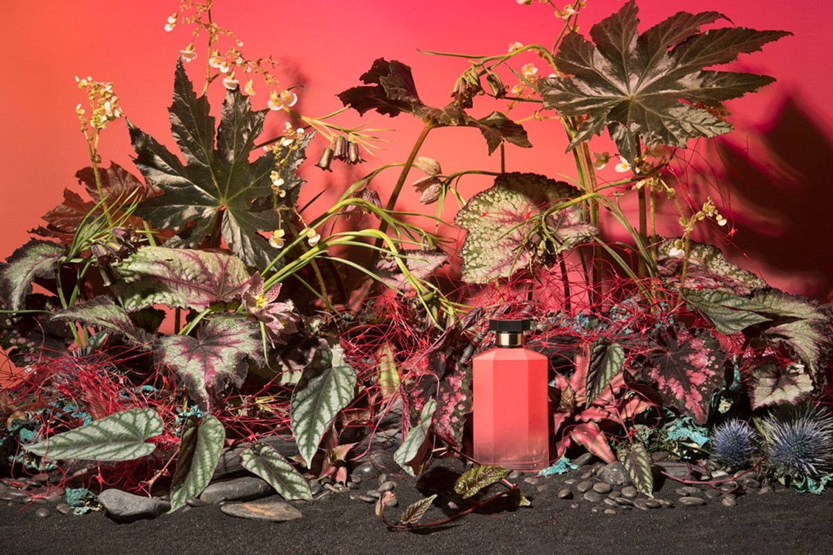 Elegant presentation of a red perfume bottle surrounded by lush green plants and small rocks, set against a vibrant red background.