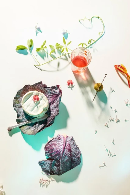 Overhead food photography featuring a brie cheese on a red cabbage leaf, a glass of pink liquid, and small flowers on a white background.