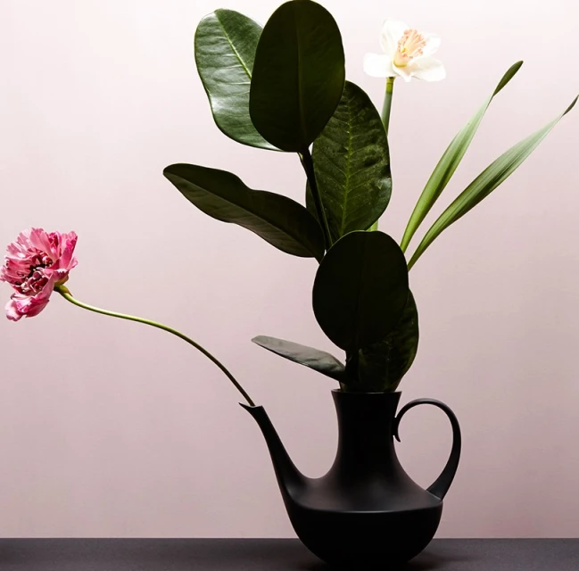 Floral arrangement with pink ranunculus, white orchid, and green leaves in a black teapot against a light pink background.