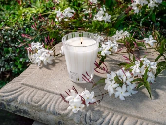 A lit white scented candle in a striped glass container resting on a stone surface surrounded by white jasmine flowers.
