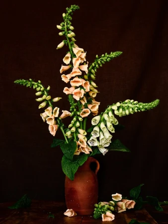 Paper foxglove flowers arranged in a rustic terracotta vase against a dark brown textured background.