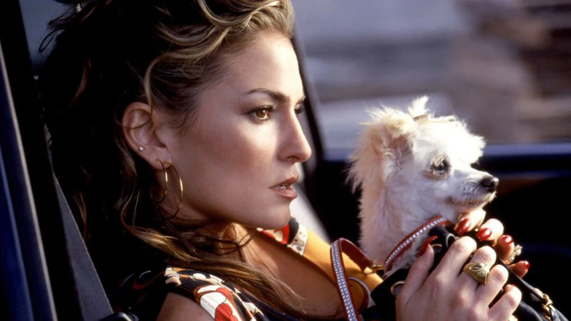 Adult female with blond hair holds a small white dog, wears a patterned top, hoop earrings, and rings, inside of a car.