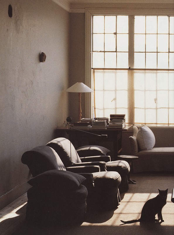 Sunlit interior with a black cat sitting on the floor, two chairs, a desk, and a sofa near a large window with sheer curtains.