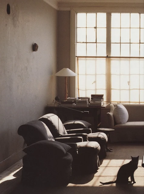 Sunlit interior with a black cat sitting on the floor, two chairs, a desk, and a sofa near a large window with sheer curtains.