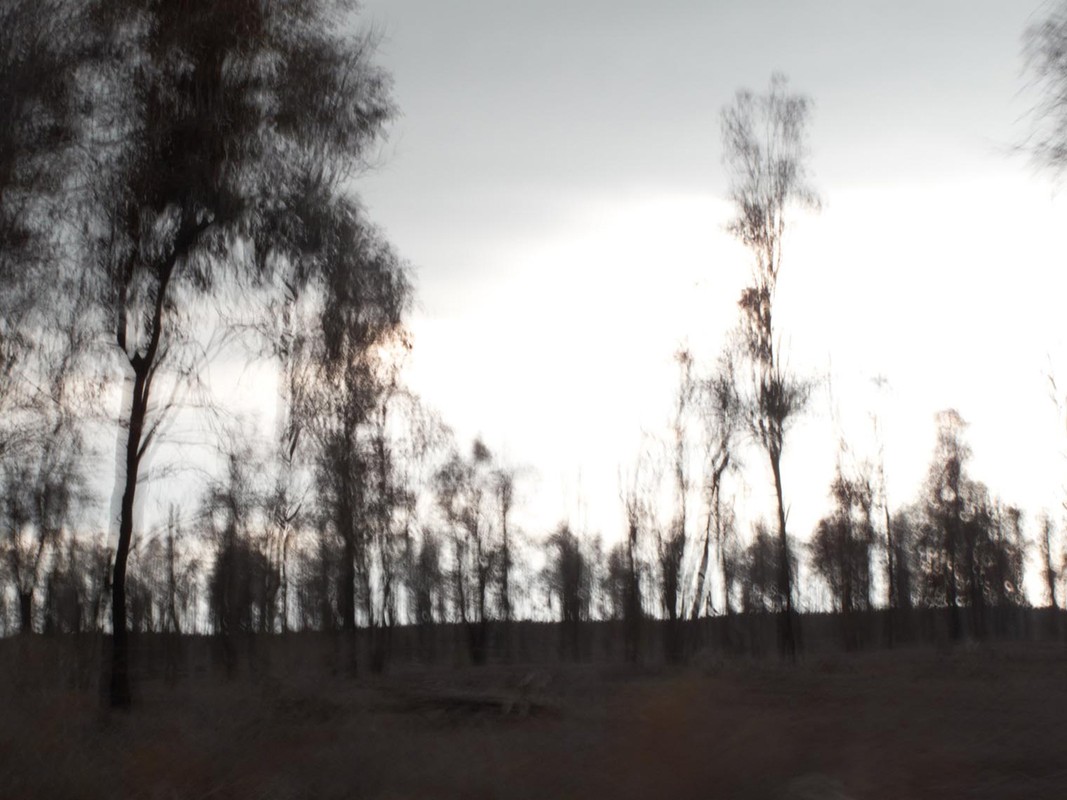 Blurred long-exposure landscape view with silhouetted trees against a bright sky, creating a moody, artistic outdoor scene.