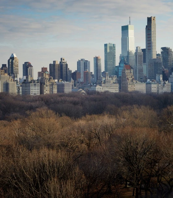 Cityscape view of New York City with skyscrapers, trees, and cloudy sky. Urban scene with architectural buildings and city park.