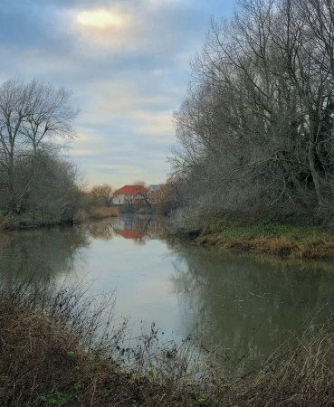 Calm river reflecting bare trees and distant buildings under an overcast sky by photographer Martyn Thompson