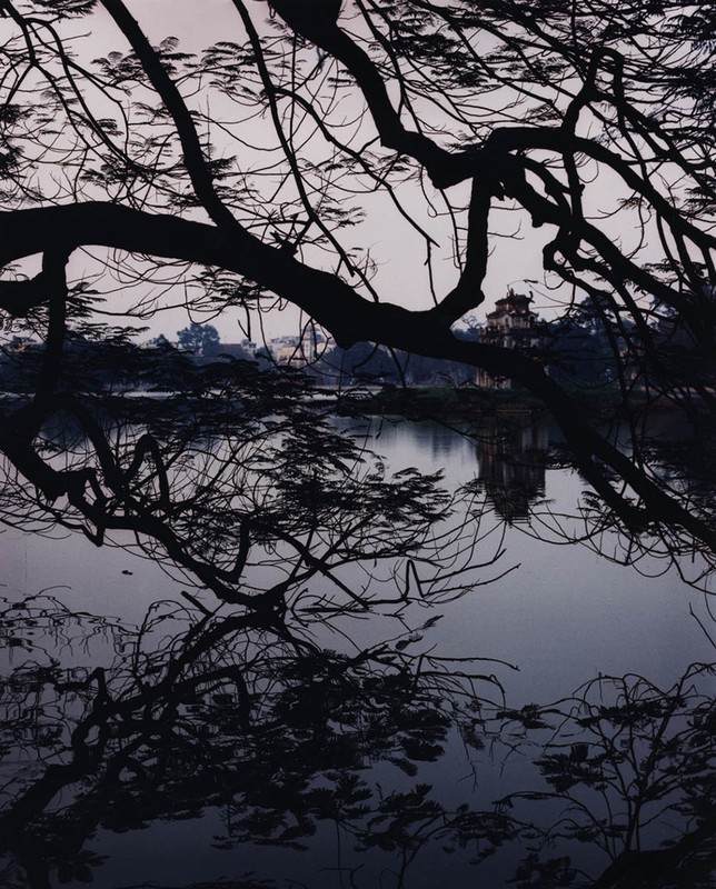 Scenic view of bare tree branches over a tranquil lake, with a distant pagoda-style building, creating a serene, contemplative landscape.