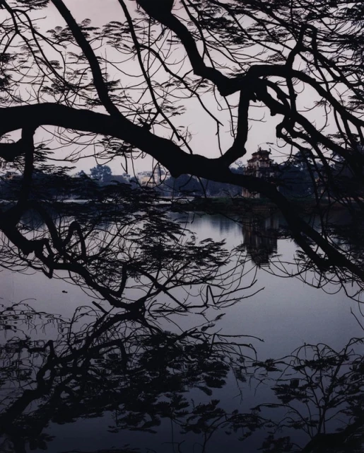 Scenic view of bare tree branches over a tranquil lake, with a distant pagoda-style building, creating a serene, contemplative landscape.