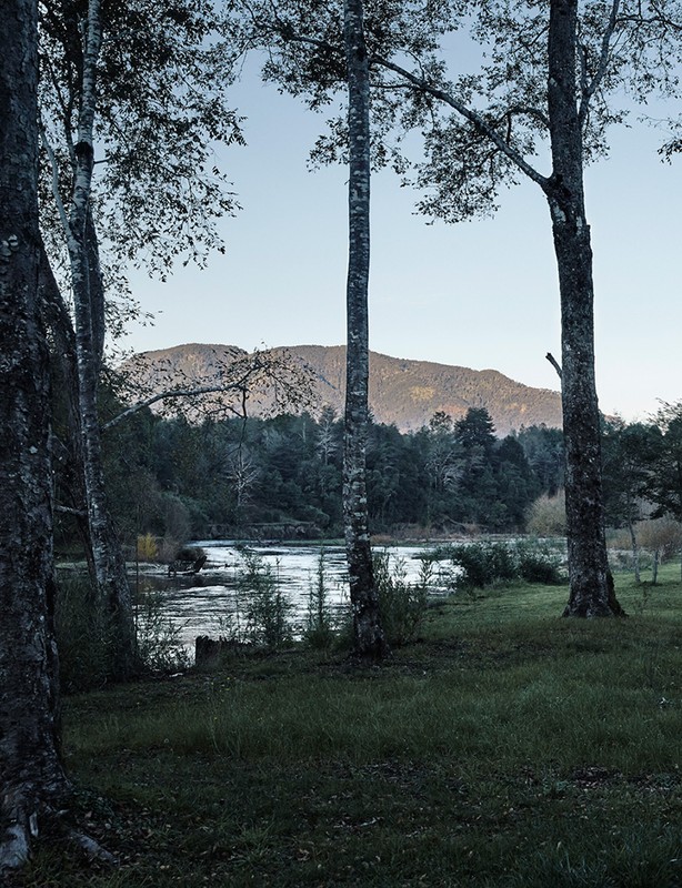 Scenic landscape featuring a river flowing beneath trees and a distant mountain under a pale blue sky, viewed from a grassy foreground.
