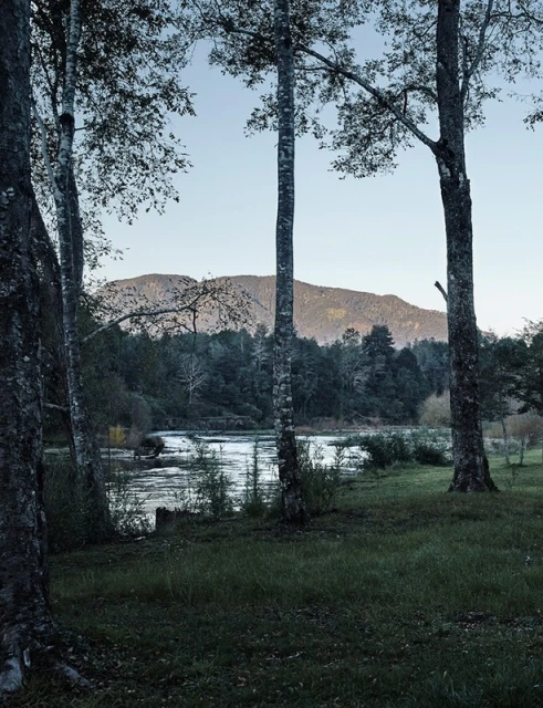 Scenic landscape featuring a river flowing beneath trees and a distant mountain under a pale blue sky, viewed from a grassy foreground.