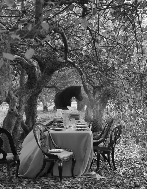 Black and white outdoor table setting with draped tablecloth, fancy chairs, plates, glasses, and a horse standing in the background.