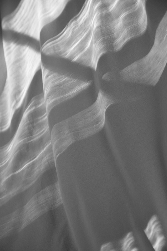 Monochrome photographic study of draped fabric with soft light casting abstract shadows across ripples and folds.