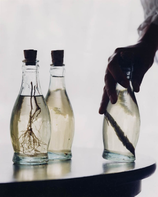 Still life features a person's hand holding a glass bottle filled with water and a branch, alongside two bottles on a dark table.