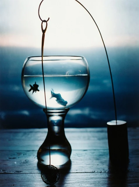 Creative still life of goldfish in a stemmed glass bowl, a needle 'fishing' for fish against a blended blue background on a wooden table.