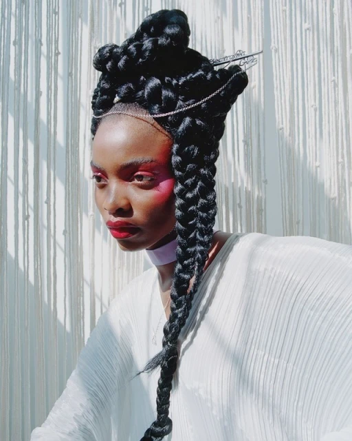 Woman with elaborate braided hairstyle and pink eye makeup poses in front of a textured white backdrop in a beauty or fashion editorial.