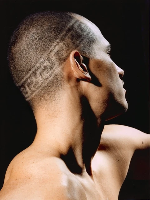 Profile of bald adult male with a short beard and geometric hair design against a dark background; bare shoulders are also visible.