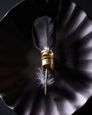 Close-up of gold jewelry rings stacked on a quill with white and black feathers against a dark rippled surface. 