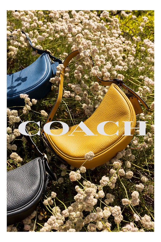 Three Coach handbags in black, yellow, and blue are arranged among small white flowers in an outdoor setting, showcasing a fashion product.