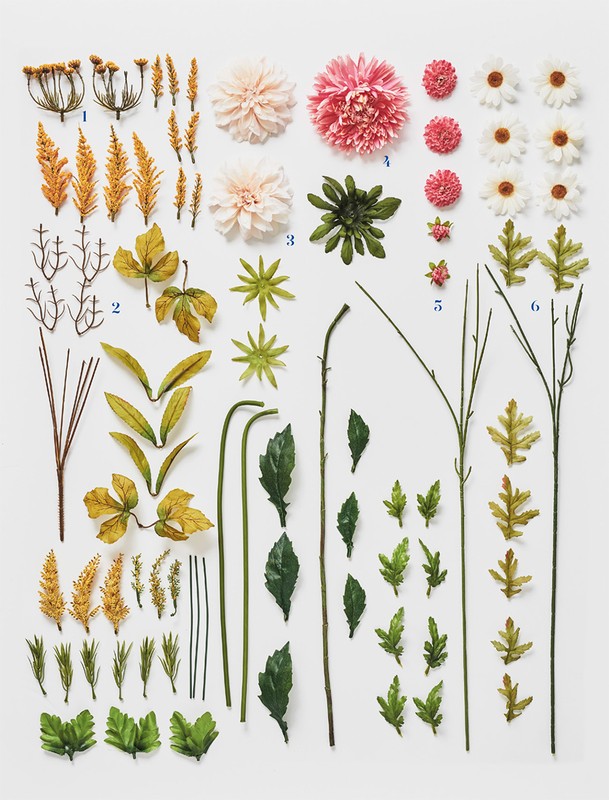 Botanical still life of floral and leaf sprigs, meticulously arranged on a clean white surface. Features pink, white, and green hues.