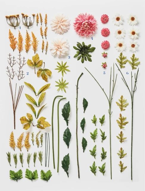 Botanical still life of floral and leaf sprigs, meticulously arranged on a clean white surface. Features pink, white, and green hues.