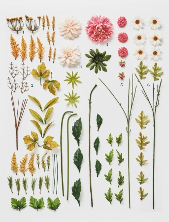 Botanical still life of floral and leaf sprigs, meticulously arranged on a clean white surface. Features pink, white, and green hues.