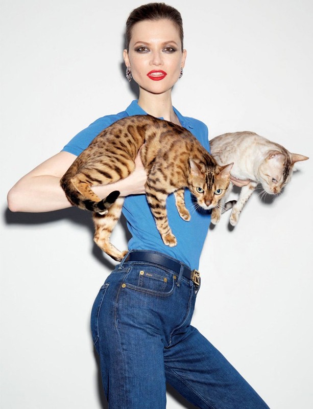 Adult woman holds two cats in a studio setting with a plain white background, wearing blue top and jeans. Cats are bengal and tabby.
