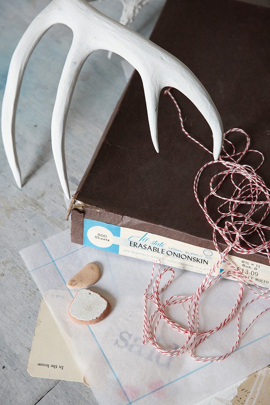 Close-up of a white antler, paper, and string on top of a dark brown box, showcasing texture and crafting details in soft lighting.